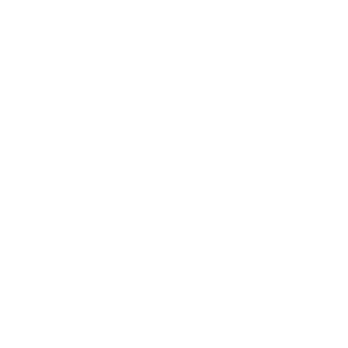 Ding Dong Disko logo